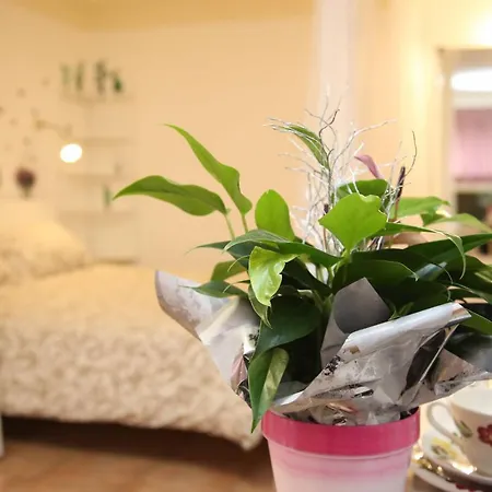 Casa Nonnafarfalla - Casa Vacanze Appartamento *